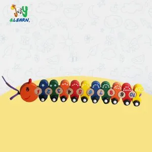 دودة ارقام خشبية
